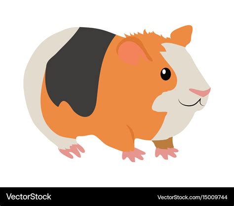 Guinea pig cartoon icon in flat design Royalty Free Vector