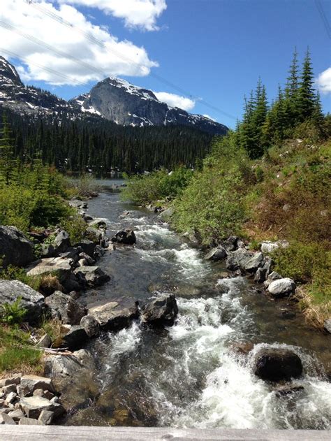 Salmon Arm BC | Salmon arm, British columbia, Natural landmarks