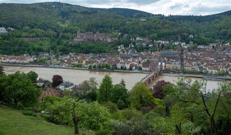 Page 3 | Neckar Images - Free Download on Freepik