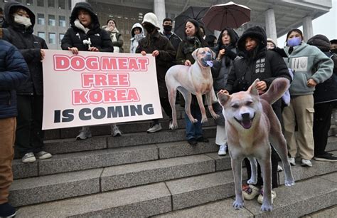 South Korea Bans Dog Meat Trade