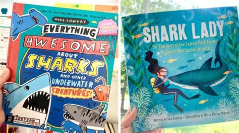 Best Shark Books for Kids, as Recommended by Teachers