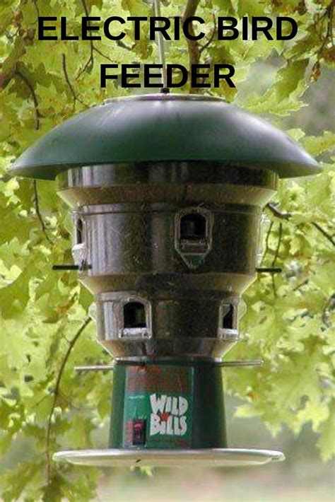 a bird feeder hanging from a tree branch