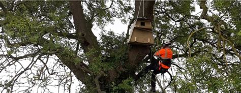 Work in and around Portbury Wharf Nature Reserve | National Grid ET