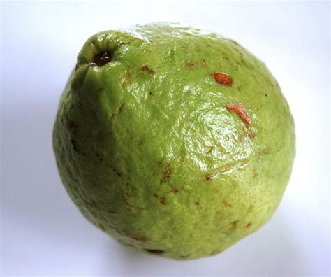 Guava fruit Free Photo Download | FreeImages