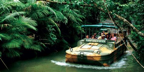 Kuranda - Cairns Trips