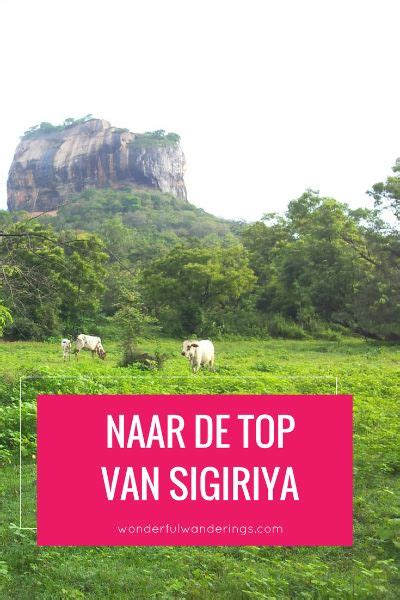 Leeuwenrots Sigiriya in Sri Lanka beklimmen... en vrezen