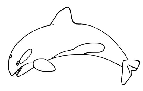 transparent orca clipart - Clip Art Library