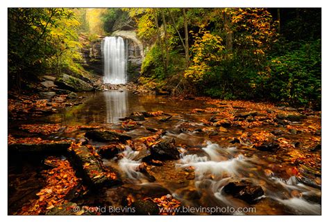 Looking Glass Falls - David Blevins Nature Photography