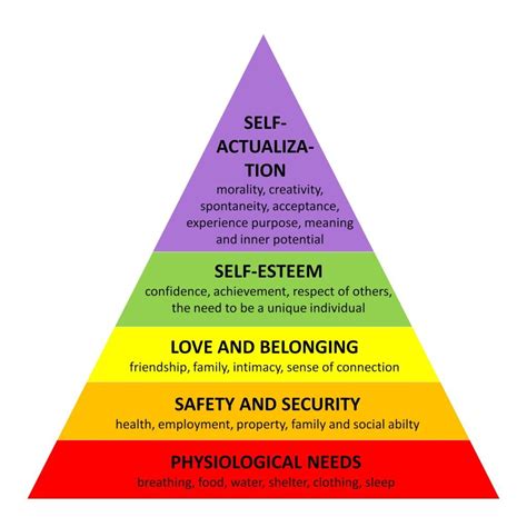 Maslow's Hierarchy of Needs Not a Hierarchy?