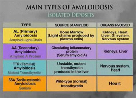 Multiple Myeloma Prognosis | Multiple myeloma, Chronic inflammation, Autonomic nervous system