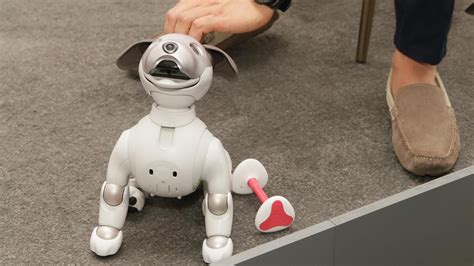 Sony's new Aibo robot dog is cuter, does better tricks at CES - CNET ...