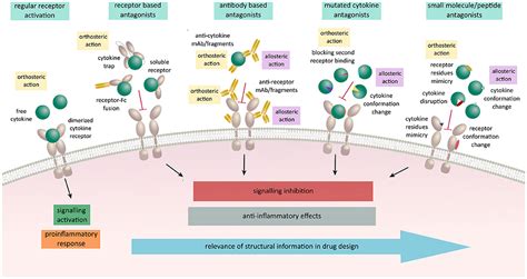 Frontiers | Modulation of Signaling Mediated by TSLP and IL-7 in Inflammation, Autoimmune ...