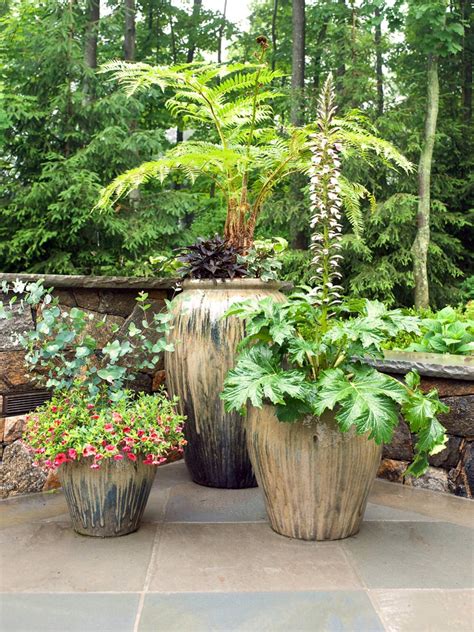 11 Most Essential Container Garden Design Tips | Designing a Container ...