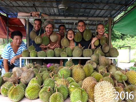 Malaysia Durian Tour