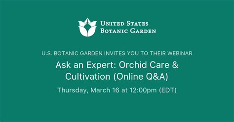 Ask an Expert: Orchid Care & Cultivation (Online Q&A) | U.S. Botanic Garden