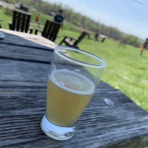 Get Sun Sour - Rising Silo Farm Brewery - Untappd