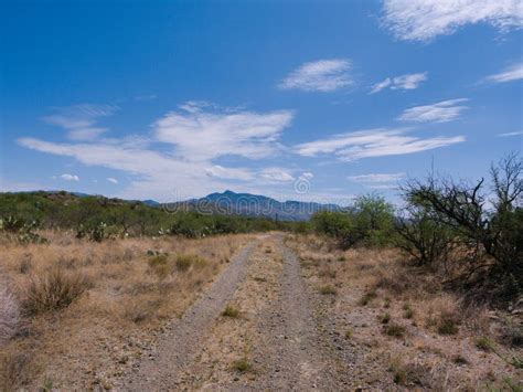 Sonoran Desert stock photo. Image of desert, mountain - 252116400