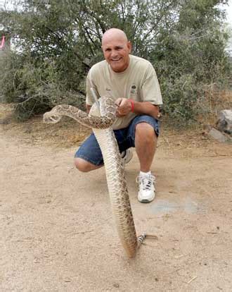 Rattlesnake-bite victims showing extreme symptoms | National | helenair.com