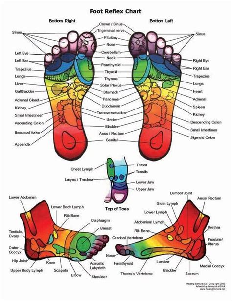 Foot Reflexology! | Reflexology chart, Reflexology, Reflexology foot chart