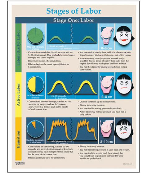 Phases and Stages of Labour Tear Pad