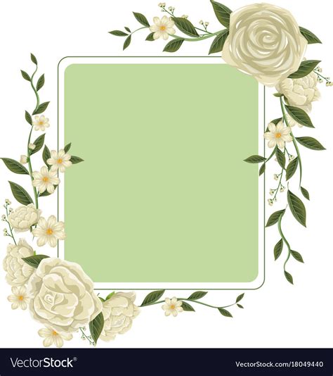 Border template with white roses Royalty Free Vector Image