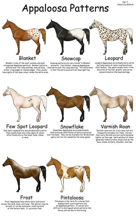 56 best colours - appaloosa patterns images on Pinterest | Appaloosa, Appaloosa horses and ...