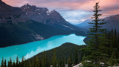 Peyto Lake Canada Mountains 4k Wallpaper,HD Nature Wallpapers,4k ...