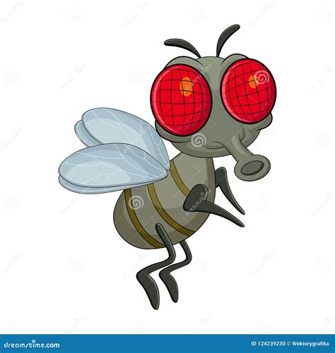 Fly Cartoon Character Vector Design Isolated on White Background Stock ...