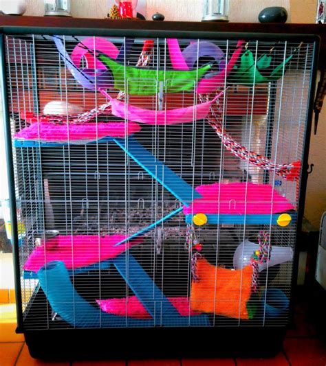 Savic Zeno 3 Empire | Pet rats, Pet rat cages, Small pets