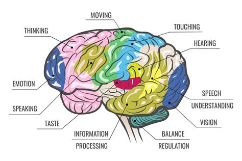 The 5 Senses in Neurology: A Patient Guide to Sensory Loss