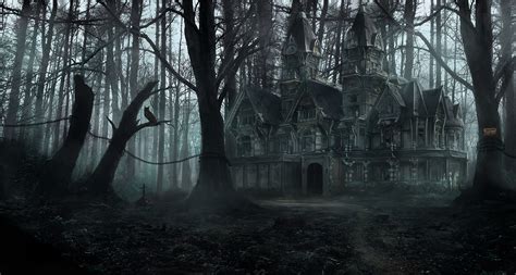 Creepy Forest Wallpaper - WallpaperSafari