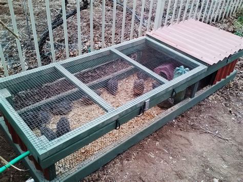 Outdoor Quail Cages