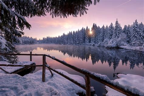 HD wallpaper: winter, forest, lake | Wallpaper Flare