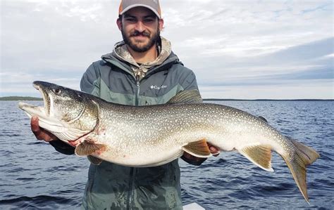 Top 5 Lures for Trophy Lake Trout in Canada | Arctic Lodges