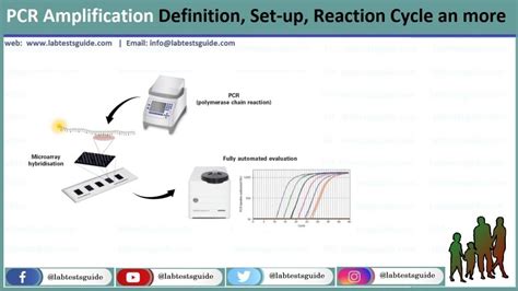 PCR Amplification Definition, Set-up, Reaction Cycle An More | Lab Tests Guide