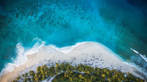 Aerial View Of Island Beach Waves And Palm Trees 4K HD Nature Wallpapers | HD Wallpapers | ID #72011