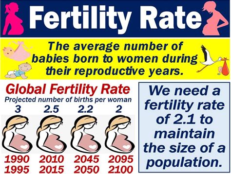 What is fertility rate? Definition and examples - Market Business News