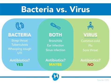 Difference Between Viral And Bacterial Infection Huateng Pharma | Images and Photos finder