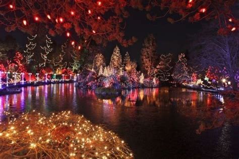 Christmas Lights On The Lake Pictures, Photos, and Images for Facebook ...