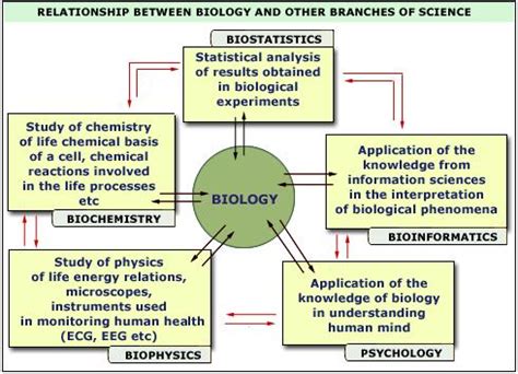 Branches Of Biology | Diagrams Of Biology