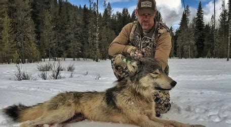 The Rich Outdoors - Wolf Hunting