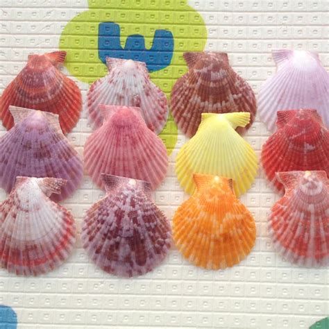 Online Buy Wholesale scallop shell crafts from China scallop shell crafts Wholesalers ...