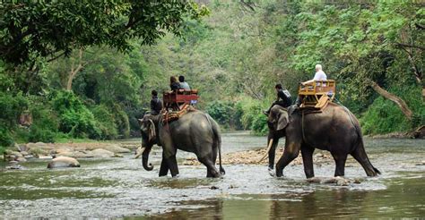 A ban on elephant safaris that has left no one wiser | Manorama English