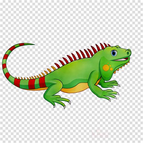 Free Iguana Cliparts, Download Free Iguana Cliparts png images, Free ...