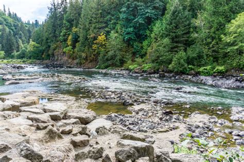 230+ Snoqualmie River Photos Stock Photos, Pictures & Royalty-Free ...