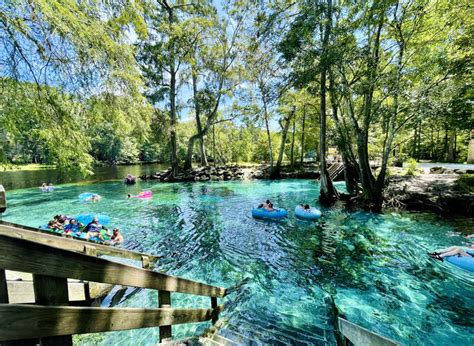 Explore Florida's Natural Springs | Florida Farm Bureau Insurance