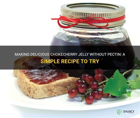 Making Delicious Chokecherry Jelly Without Pectin: A Simple Recipe To ...