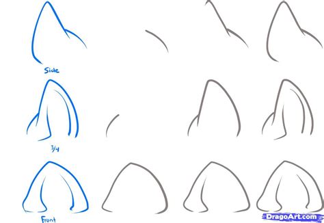 Anime dog ears step by step | Cat ears and tail, Art drawings simple, Chibi sketch