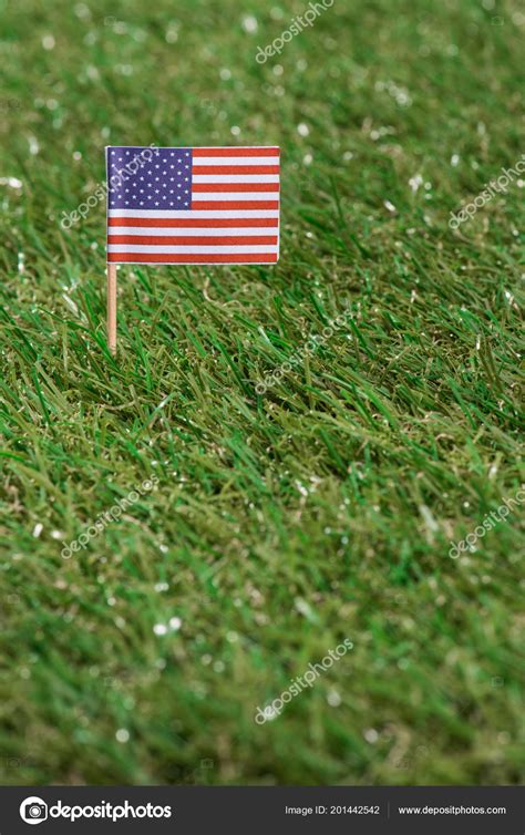 Close View American Flagpole Green Grass — Free Stock Photo © KostyaKlimenko #201442542