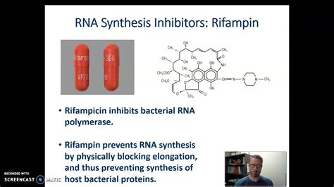 Rifampin Mechanism of Action - YouTube